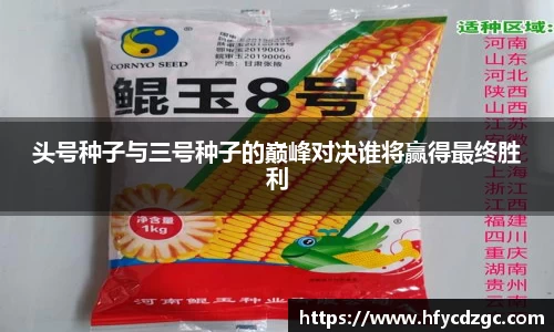 头号种子与三号种子的巅峰对决谁将赢得最终胜利
