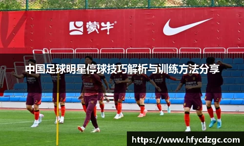 yy易游体育官网