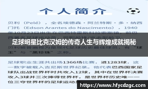 yy易游体育官网