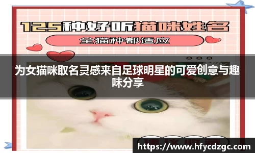 yy易游体育官方网站